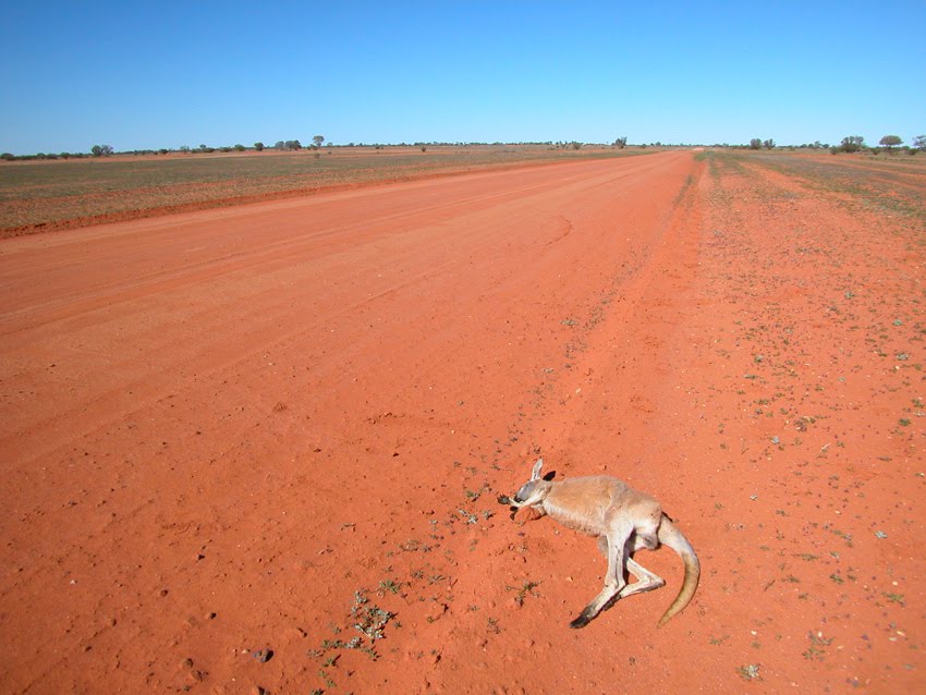 april 2011 calendar australia. calendar april 2011 australia.