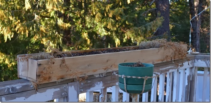 windowbox700