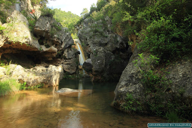 Gorg de la Gorguina (Gorgs de la Febró)