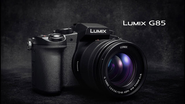 Panasonic Lumix Gh5, Gh4, G7, S5 and S1R Price in Nepal | Specs and features