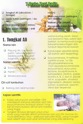 HPA TMN PUNCAK JALIL: Kopi V Radix Fenomena - HPA