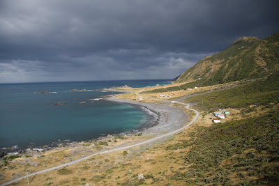 Cape Palliser