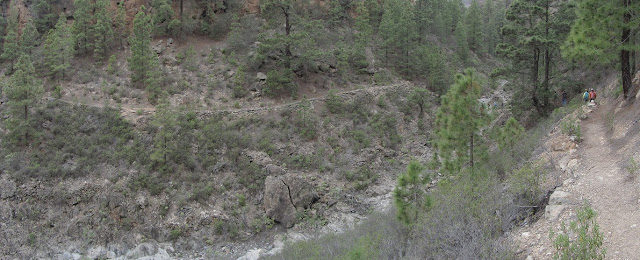  Mar a Cumbre - Barranco de El Contador - PR-TF-86 - Tenerife - Islas Canarias