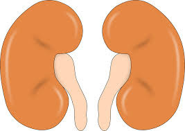 Kidney खराब होने के लक्षण क्या है