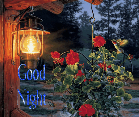 Good Night Flower GIF Image