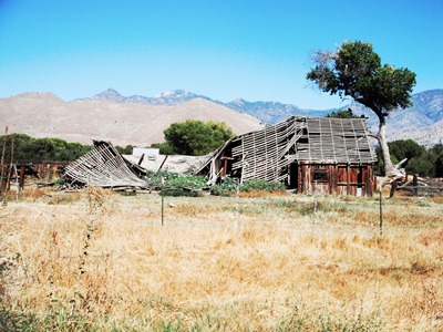 FALLEN BUILDING