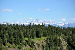 DSC_0031