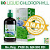 Jual Obat Herbal Chlorophyll Liquid - Klorofil Cair K-Link