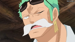 ワンピースアニメ ドレスローザ編 648話 ゾロ | ONE PIECE Episode 648