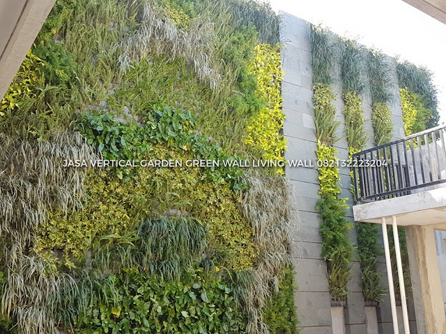 JASA PEMBUATAN VERTICAL GARDEN SURABAYA, JASA VERTICAL GARDEN SURABAYA, JASA TUKANG TAMAN VERTICAL SURABAYA, JASA PEMBUATAN DINDING HIDUP SURABAYA, JASA PEMBUATAN DINDING HIJAU SURABAYA, roof garden murah, roof garden design, roof garden minimalis, roof garden sederhana, roof garden detail, roof garden medan, roof garden semarang, drainasecell roof garden, versicel roof garden, roof garden indonesia, roof garden SURABAYA, roof garden system, roof garden, roof garden adalah, drainasecell, versicell, alat roof garden, cara membuat roof garden, peralatan roof garden, roof top, top roof garden, taman dak atas, cara membuat taman dak, taman atap roof garden, taman roof garden, roof garden apartment, tukang taman vertikal, vertikal garden murah, vertikal garden sederhana, taman vertikal dari botol bekas, taman vertikal murah, taman vertikal rumah minimalis, taman vertikal adalah, taman vertikal dalam rumah, taman vertikal, taman vertikal minimalis, taman vertikal anggrek, taman vertikal botol, taman vertikal di bandung, taman vertikal menggunakan botol bekas, taman vertikal dari batu bata, biaya taman vertikal, buat taman vertikal, contoh taman vertikal, cara taman vertikal, contoh taman vertikal garden, taman vertikal di rumah, taman vertikal di lahan sempit, taman vertikal di dinding, taman vertikal dinding, taman vertikal dengan paralon, taman vertikal depok, fungsi taman vertikal, foto taman vertikal, taman vertikal garden, taman gantung vertikal, gambar taman vertikal minimalis, cara membuat taman vertikal garden, gambar taman vertikal, griya taman vertikal, desain taman vertikal garden, taman vertikal hidroponik, taman vertikal harga, harga taman vertikal murah, taman vertikal indonesia, taman vertikal indoor taman vertikal italia, ide taman vertikal, vertical gardens, vertical gardening, wall garden, green wall, vertical gardening systems, wall planter, indoor vertical planter, planter, wall planters, green walls, greenwall, garden walls, plant wall, wall planters indoor, wall planters for outdoors, vertical blinds, vertical line, vertical farming, vertical integration, vertical angles, vertical radiators, vertical meaning, define vertical,