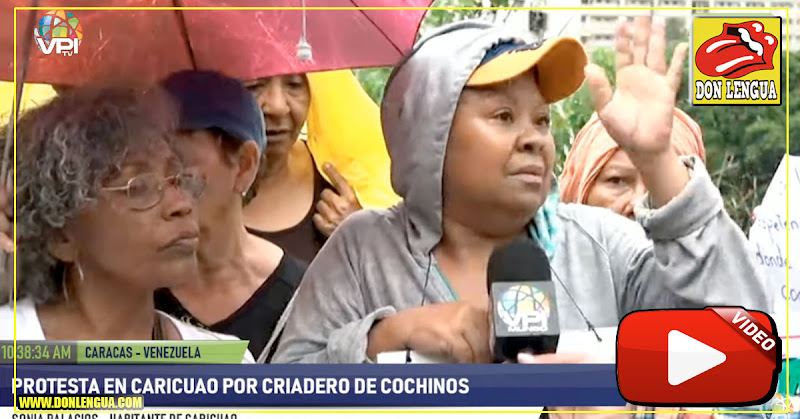 Vecinos de Caricuao denunciaron que los colectivos quieren construir un criadero de cochinos