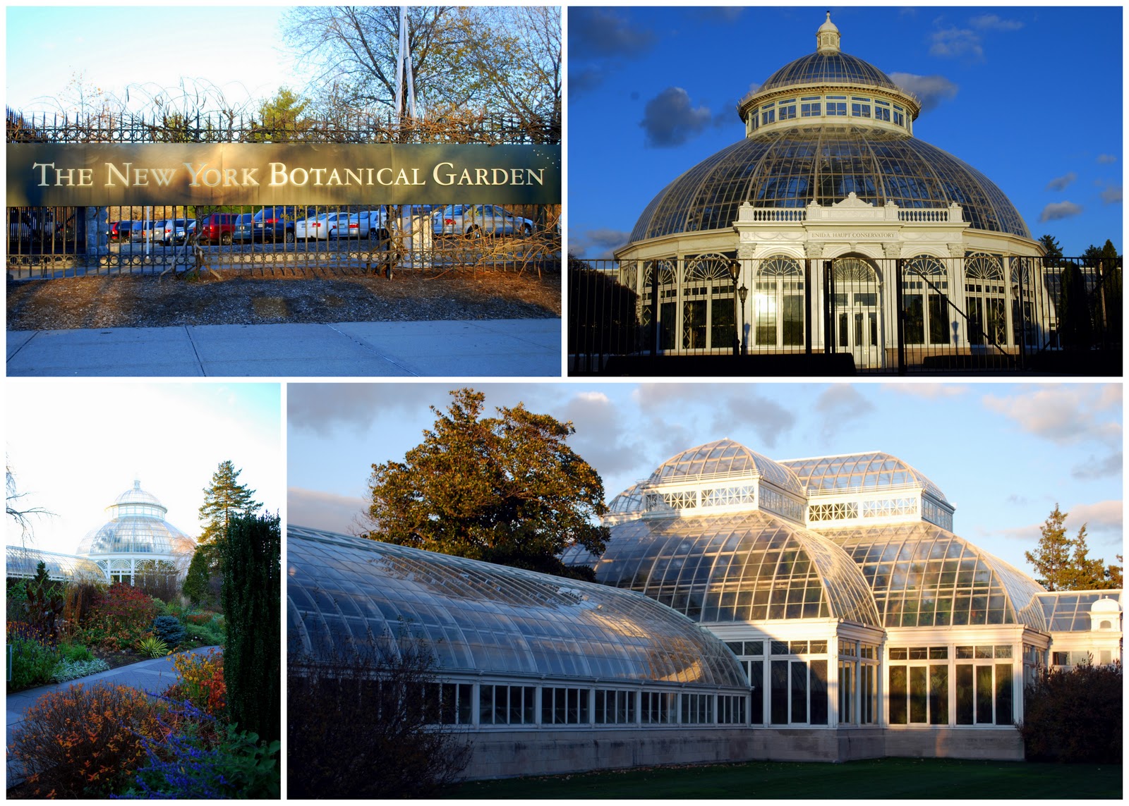 the new york botanical garden located at 200th street and kazimiroff 