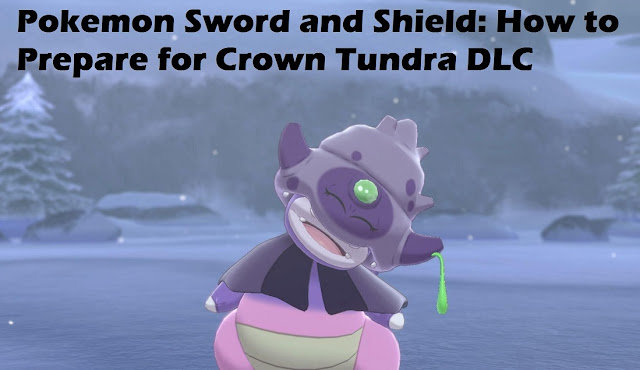 Pokemon Sword and Shield: How to Prepare for Crown Tundra DLC