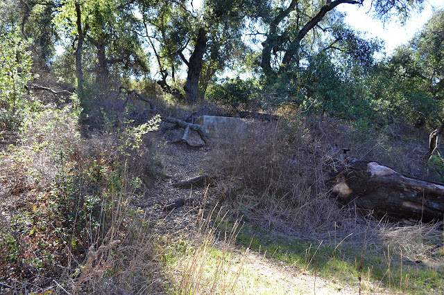 trough fed by Pigeon Spring