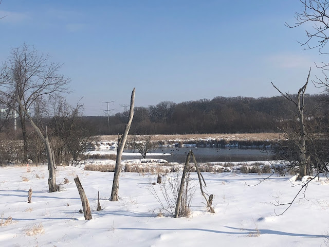 Pausing to watch water fowl enjoying sunny weather on the DuPage River at Hidden Lake Forest Preserve.