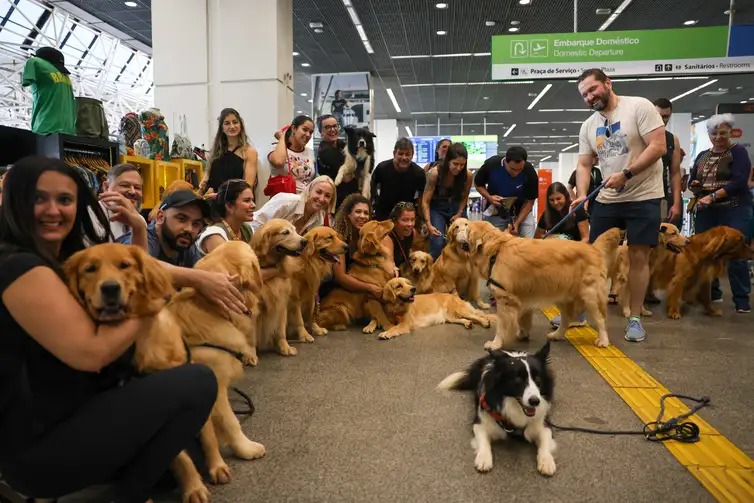 Após morte de cachorro, tutores se manifestam no aeroporto de Brasília