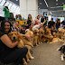 Após morte de cachorro, tutores se manifestam no aeroporto de Brasília