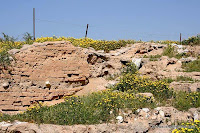  El Parque Nacional De Eshkol, Desierto Del Néguev