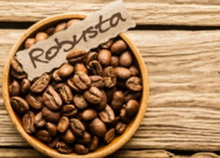Jenis biji kopi robusta, ciri-ciri, kelebihan, tanaman, pangsa pasar, kualitas kopi robusta