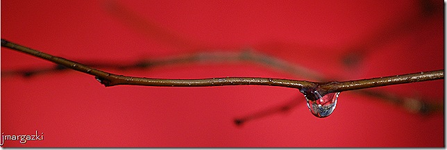 DSC_02260001