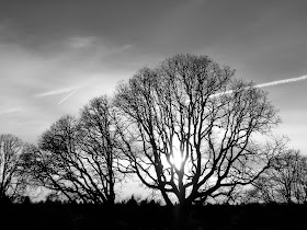 Gothic-Landscape-and-Structures