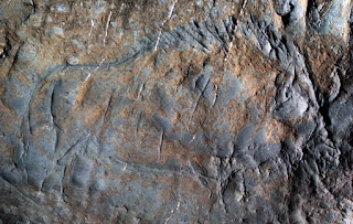 Incisione di un animale sulle pareti della grotta Montespan storia dell'arte rupestre preistoria paleolitico