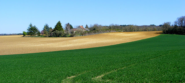 Photographed by Susan from Loire Valley Time Travel. https://tourtheloire.com