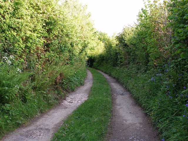 11th_may_09