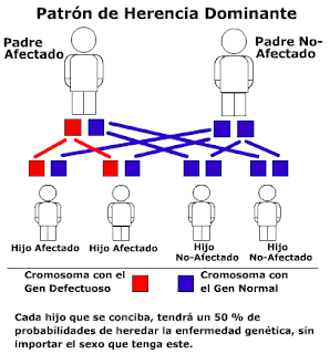 Resultado de imagen para takahara enfermedad