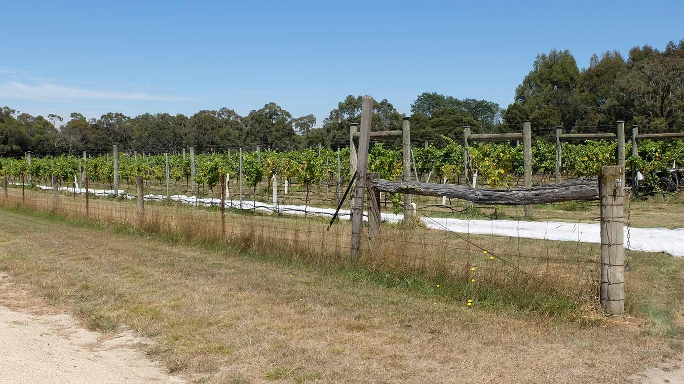 Paramoor Winery and Farm Kyneton