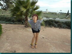 DSCN0787