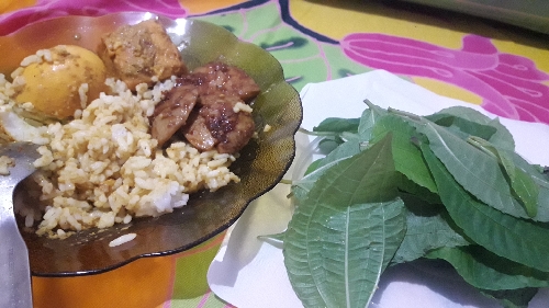 Nasi gulai telur jengkol balado dan Pohpohan sumber pangan dari hutan