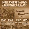 Gaza to Kashmir: Decline After 1982