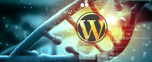 Criar um blog com wordpress