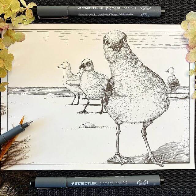 04-Incredulous-seagull-Animal-Drawings-Longstride-Illustration-www-designstack-co