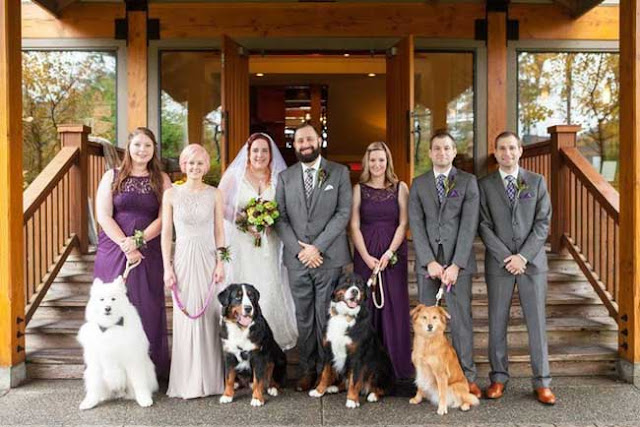 4 ekor anjing telah dijemput untuk hadir sebagai tetamu untuk menari di majlis perkahwinan