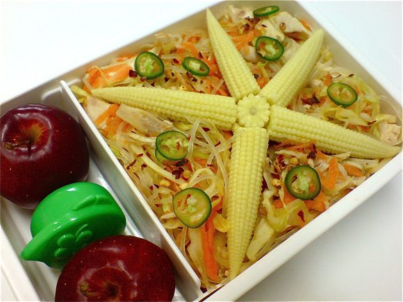 chicken cabbage salad bento