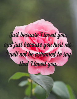 Just because I loved you