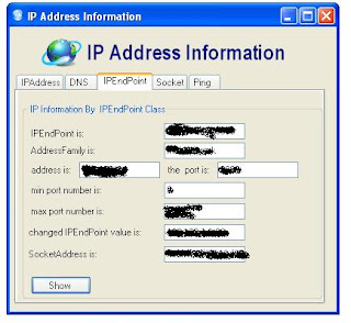 IP Address Information Project