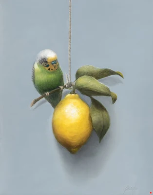 Taking a Break - Parakeet on Lemon painting Patt Baldino