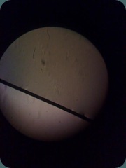 Taken with N95-8gb (1)
