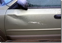 deer collision 04