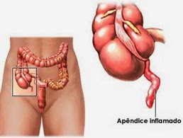 appendix-3 appendix-3