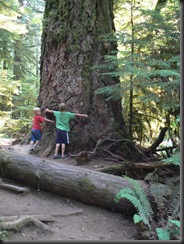 summer 2010 041