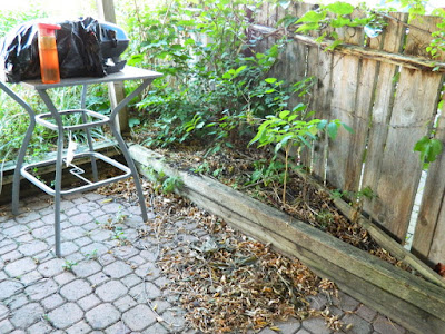 Little Italy Palmerston  Toronto Back Yard Cleanup before by Paul Jung Gardening Services