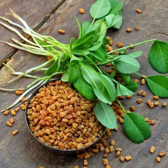 Dream F,F,To see Fenugreek in dream meaning,Fenugreek in dream meaning,