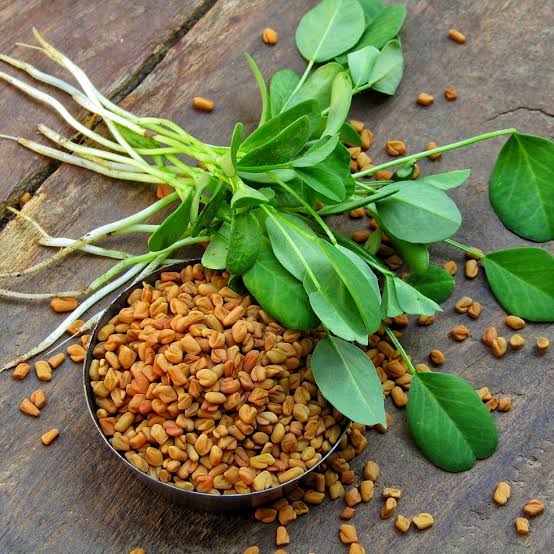 To see Fenugreek in dream meaning 