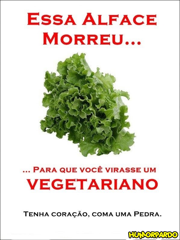 Vegetariano - Alface