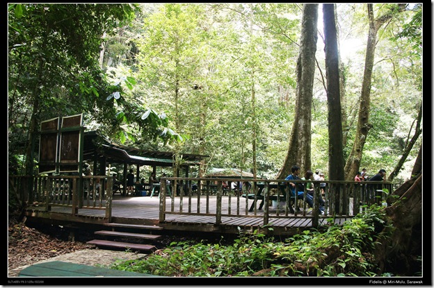 Mulu91