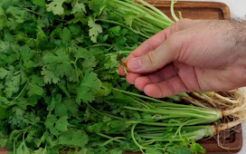 Cómo Guardar el Cilantro Fresco por 30 Días